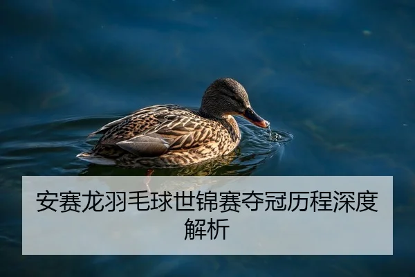 安赛龙羽毛球世锦赛夺冠历程深度解析
